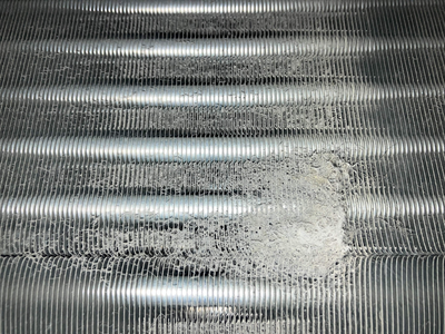 s_IMG_0003 (1) s_IMG_0003 (1)