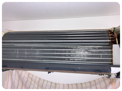 s_sasaki4 (八戸エアコン掃除) s_sasaki4 (八戸エアコン掃除)