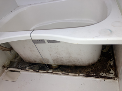 八戸 風呂掃除 八戸 風呂掃除