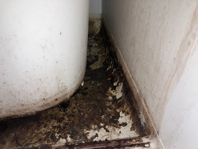 八戸 風呂掃除 八戸 風呂掃除