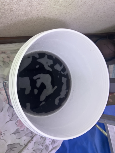 画像の説明 画像の説明