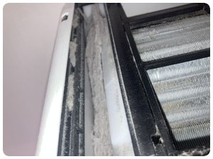 日立 しろくまくん 日立 しろくまくん