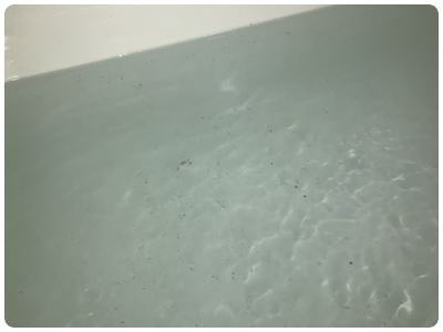 八戸 風呂釜掃除